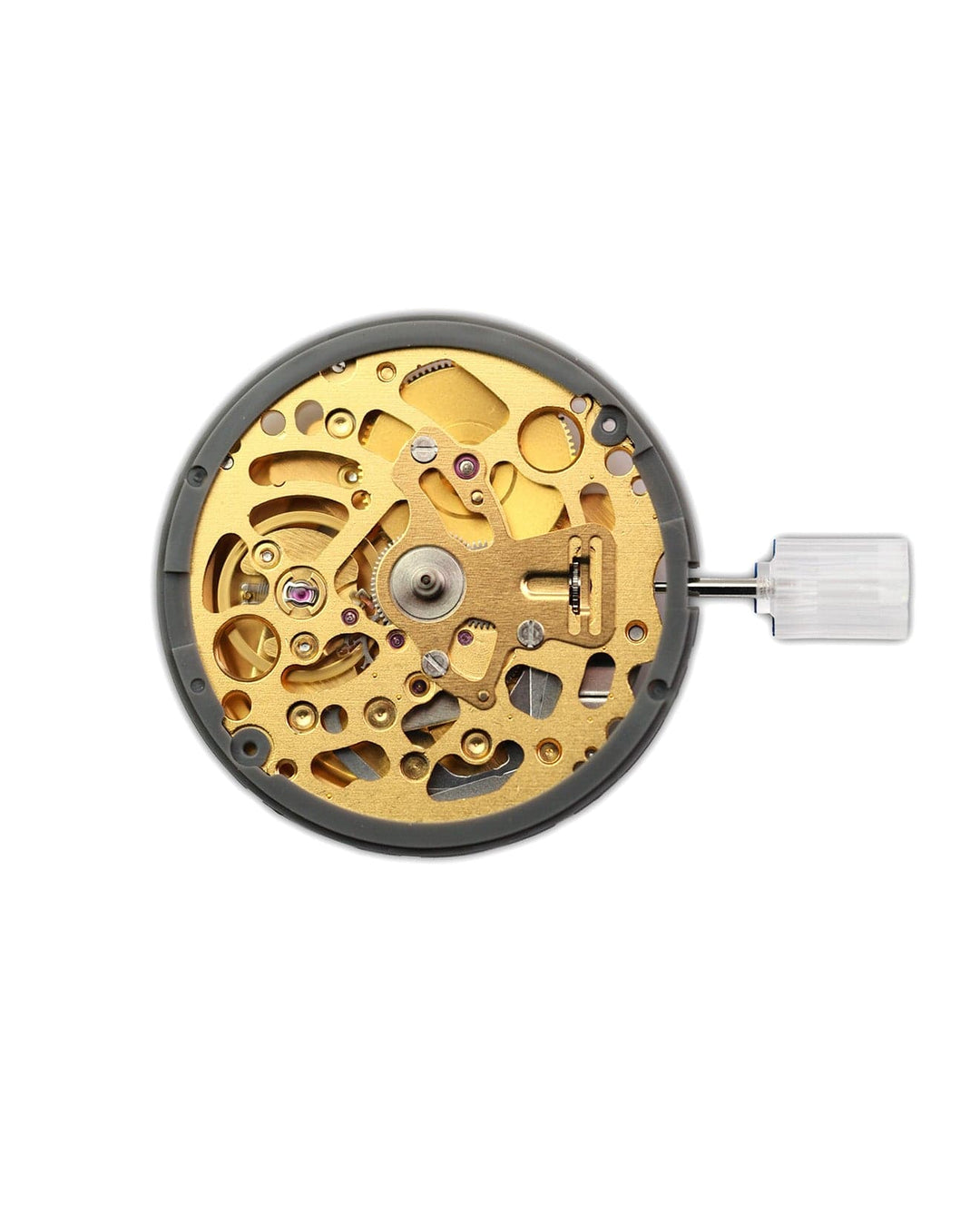 Nomods Seiko NH71 TMI Automatic Skeleton Movement